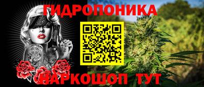 jwh Краснознаменск