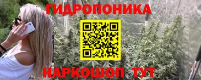jwh Краснознаменск