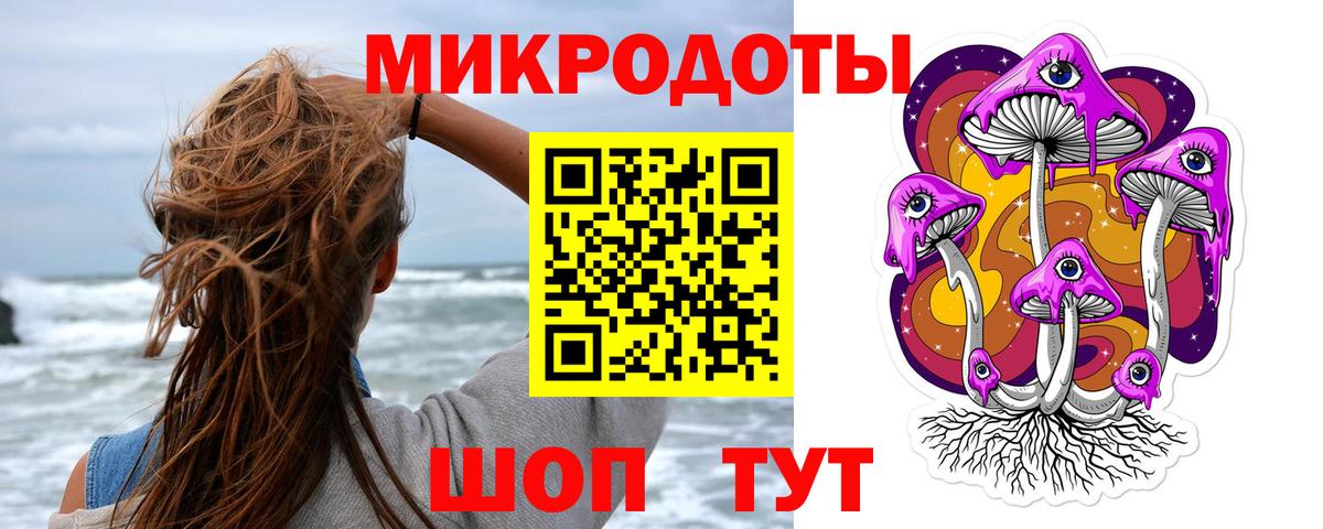 Галлюциногенные грибы Cubensis Коркино